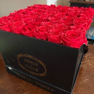 Venus et Fleur Classic Large Square Red Roses NEW